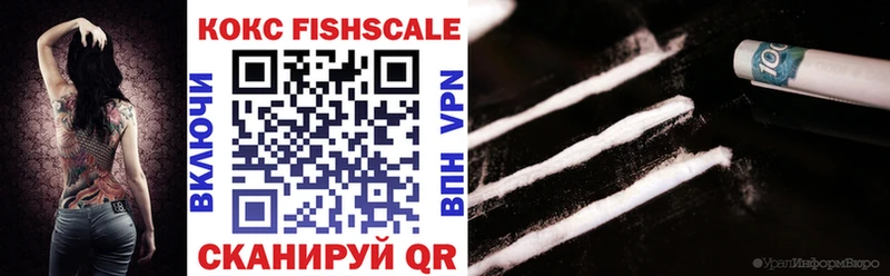 Купить закладки  Северобайкальск  Кокаин Fish Scale 