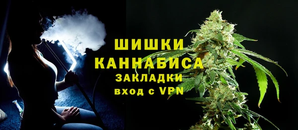МДПВ Снежногорск