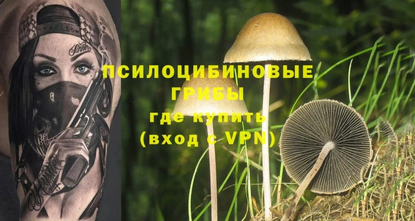 молекула духа Снежинск