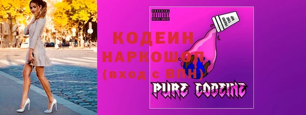 МДПВ Снежногорск