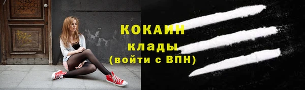 МДПВ Снежногорск