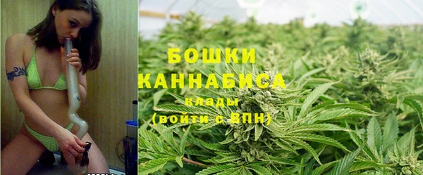 молекула духа Снежинск