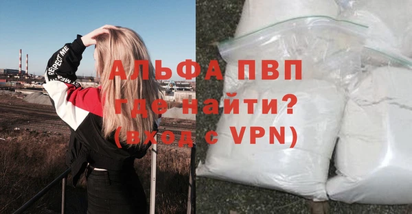 молекула духа Снежинск
