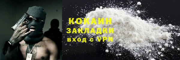 МДПВ Снежногорск